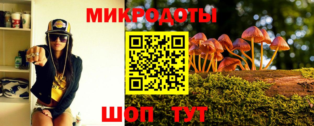 дарнет шоп  Вход с VPN  Галлюциногенные грибы прущие грибы  Бердск  Галлюциногенные грибы мицелий 
